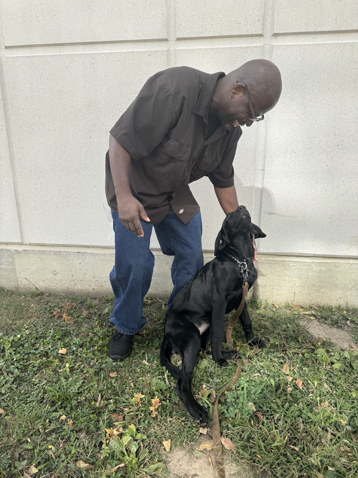 Therapy dog interacting with community members during outreach event