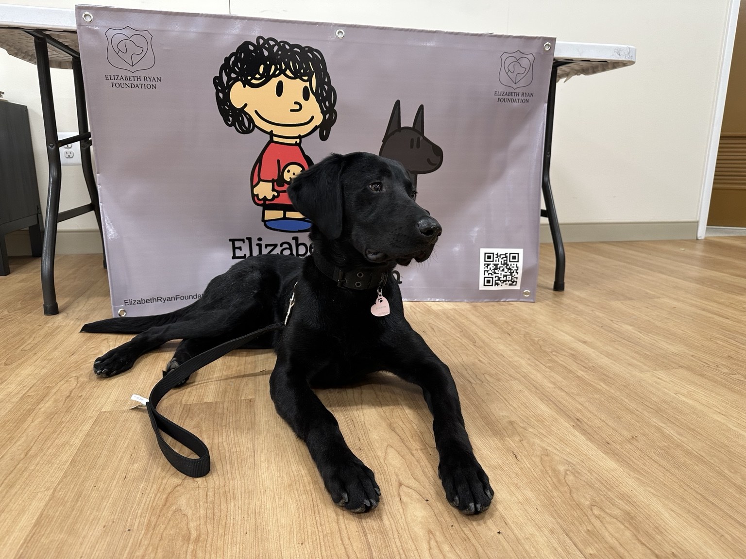 Therapy dog connecting with visitors during community support event